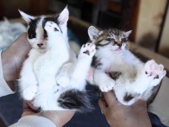 メルマガ画像 (13)