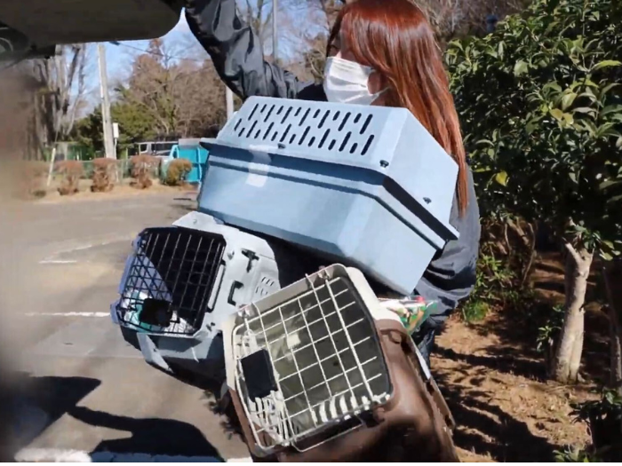 1-Jun-26-2025-12-55-11-7037-AM