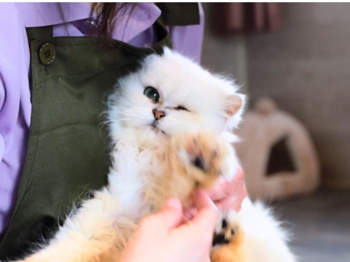 2-Jun-26-2025-12-55-43-5907-AM