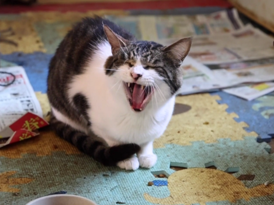 3-Jul-25-2025-02-41-59-7452-AM