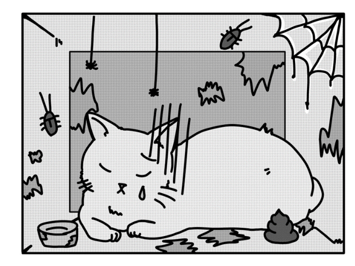 4-Jun-23-2025-01-25-36-2281-AM