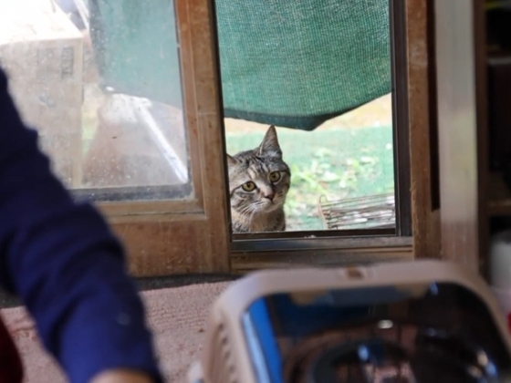 5-Jul-25-2025-02-41-59-6082-AM