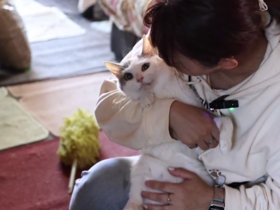 6-Jul-25-2025-02-41-59-6662-AM