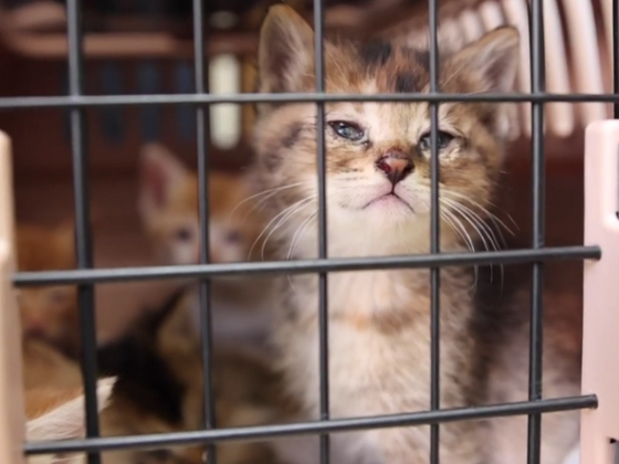 7-Jul-25-2025-02-41-59-6065-AM